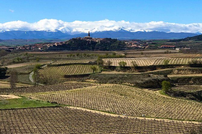 Rioja Wineries and Laguardia Tour with Picnic from San Sebastian - Why This Tour Works Well for Travelers