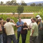 Rioja Winery & Traditional Lunch From Pamplona or Logroño - Exploring the Rioja Experience in Detail