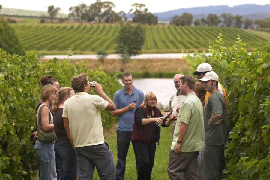 Rioja Winery & Traditional Lunch From Pamplona or Logroño - Exploring the Rioja Experience in Detail