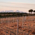 Rivaltes  Secrets of the Terroir and Tasting of Unique Wines! - Practical Details
