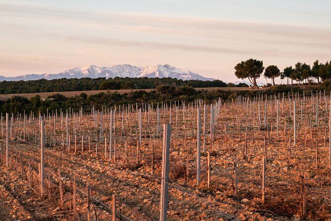 Rivaltes  Secrets of the Terroir and Tasting of Unique Wines! - Practical Details