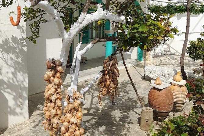 Riverbank Adventure in Naxos (Kinidaros - Eggares) - A Detailed Look at the Riverbank Adventure