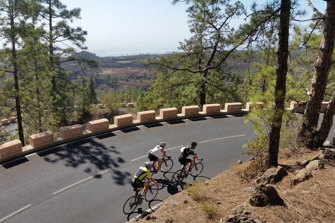 Road Cycling Tenerife - Teide Route - FAQ