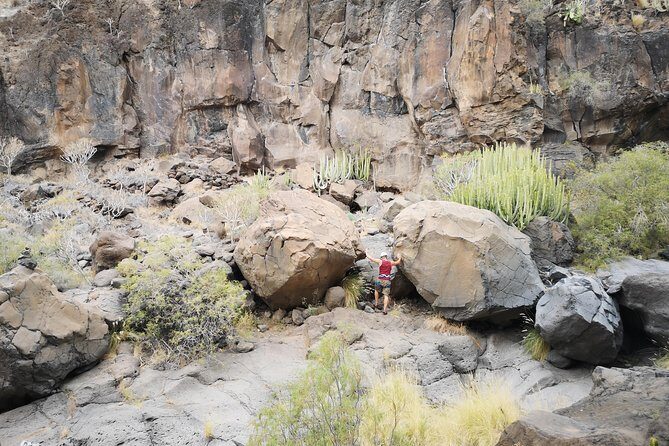 Rock climbing in natural space. - Authentic Experiences from Travelers