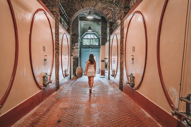 Roman countryside Food & Wine Tasting in a medieval winery - Detailed Breakdown of the Itinerary