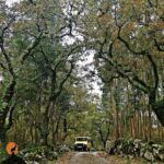 Roman Ruins of Conímbriga, Penela Castle and Buracas do Casmilo - Who Should Consider This Tour?