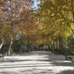 Ronda: 2-Hour Private Walking Tour - Who Is This Tour Best For?