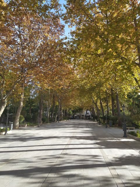 Ronda: 2-Hour Private Walking Tour - Who Is This Tour Best For?