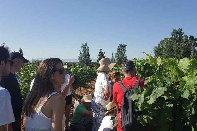 Ronda Day Tour and Winery Visits from Marbella - The Itinerary: A Closer Look