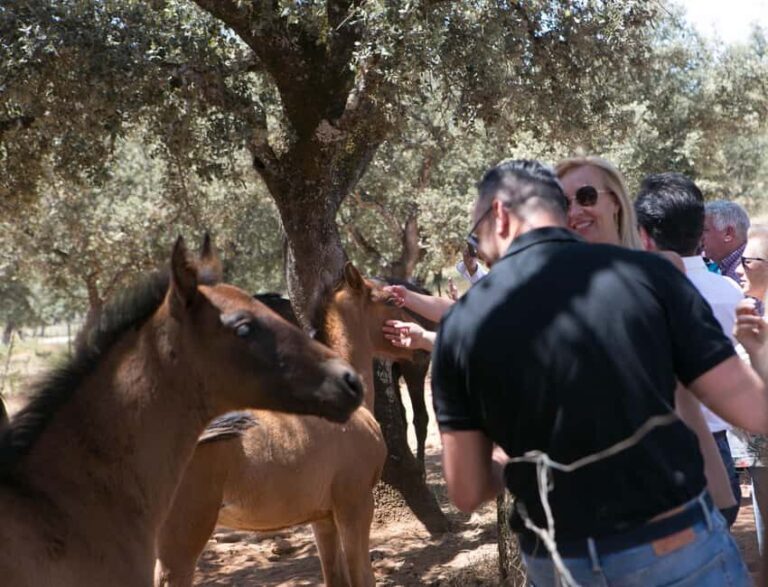 Ronda: Entrance to Reservatauro Ronda - Final thoughts: Is it worth it?
