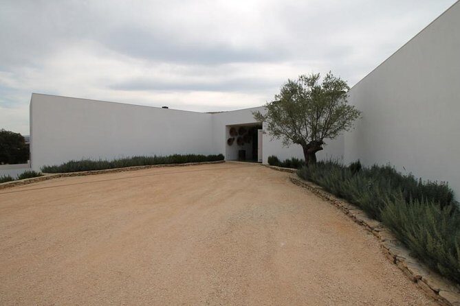 Ronda Private Full Day Wine Tour - A Detailed Look at the Ronda Private Full Day Wine Tour