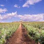 Ronda: Winery Tour with Wine Tasting and Tapas - Who Will Love This Tour?