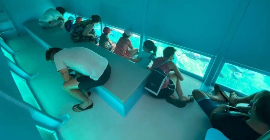 Roses: Costa Brava Catamaran Trip with Underwater Views - The Sum Up