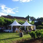 Roséwinetasting Parties or Workshops with a WineEducator at your place - Who Will Love This Experience?