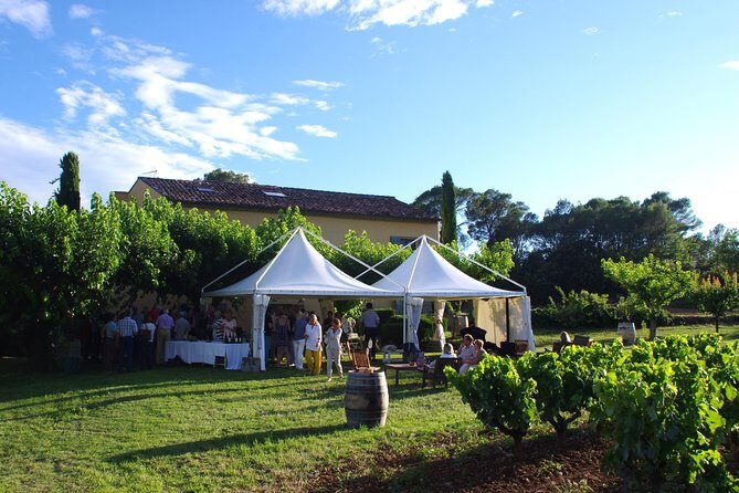 Roséwinetasting Parties or Workshops with a WineEducator at your place - Who Will Love This Experience?