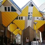 Rotterdam: 2-Hour Guided Walking Tour - Why This Tour Delivers Great Value