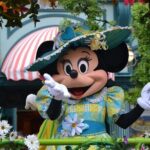 Round Trip Paris City, ORY or CDG Airport to Paris Disneyland - In-Depth Look at the Transfer Experience