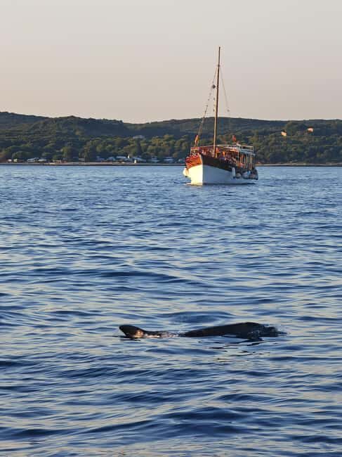 Rovinj: Red Island & Lim Fjord boat tour with BBQ & Swimming - Authentic Experiences and Practical Details