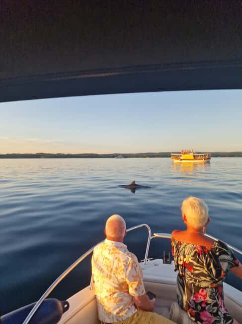 Rovinj: Shared Dolphin and Sunset Tour with Drinks - Who Should Consider This Tour?