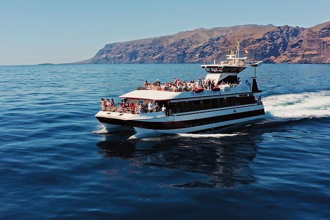 Royal Delfin - 4'5H Dolphin & Whale Watching - Los Gigantes Masca - Lunch & Swim - An In-Depth Look at the Experience