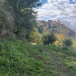 Running Tour in Granada - An In-Depth Look at the Granada Running Tour