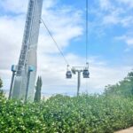 Running Tours in Barcelona: Keep Training, Keep Exploring - Exploring Montjuïc on Foot: A Detailed Look