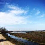 Safari 4x4 Camargue 2 hours - Saintes Maries de la Mer - Private Tour - FAQ