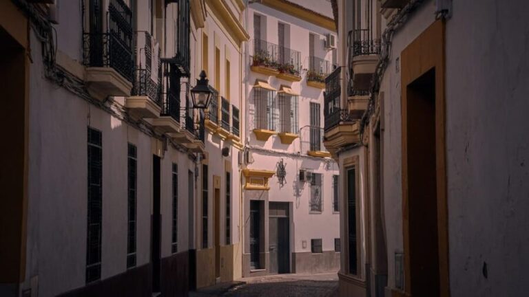 Sagunto - Private Historic Walking tour - Who Should Consider This Tour?