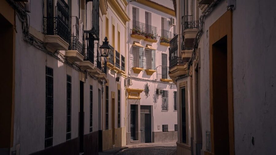 Sagunto - Private Historic Walking tour - Who Should Consider This Tour?