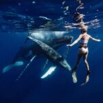 Sail the Canaries: Nature, Culture, and Culinary Delights - Final Thoughts: Who Will Love This Tour?