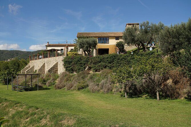 Sailing and Wine Tasting Experience Small Group in Barcelona - A Detailed Look at the Itinerary