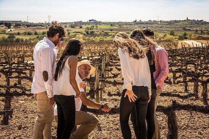 Sailing excursion Barcelona and visit to a winery in Alella - Final thoughts: Who will love this tour?