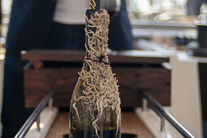 Sailing Tour and Tasting of Submarine wines on board - Who Would Love This Tour?