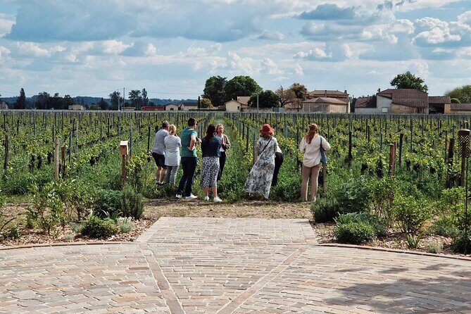 Saint-Emilion Afternoon Tour - 2 Wineries, tastings & delicacies - What to Expect at Each Stop