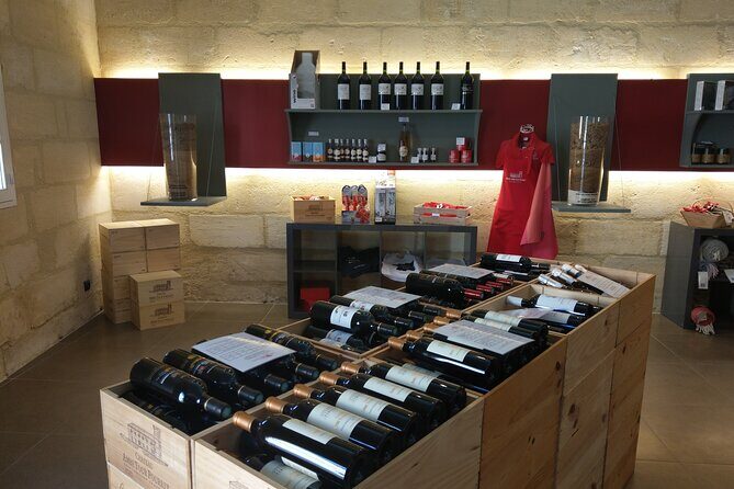 Saint-Emilion Private Full Day Wine Tour from Bordeaux - Final Thoughts