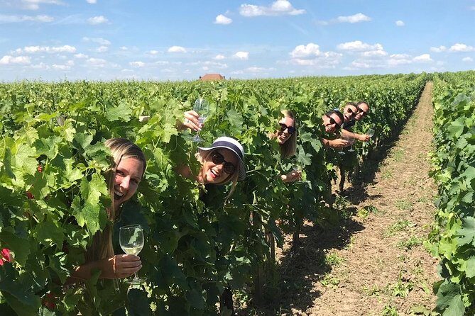 Saint-Emilion Winery Morning Tour with Local Guide - Who Would Love This Tour?