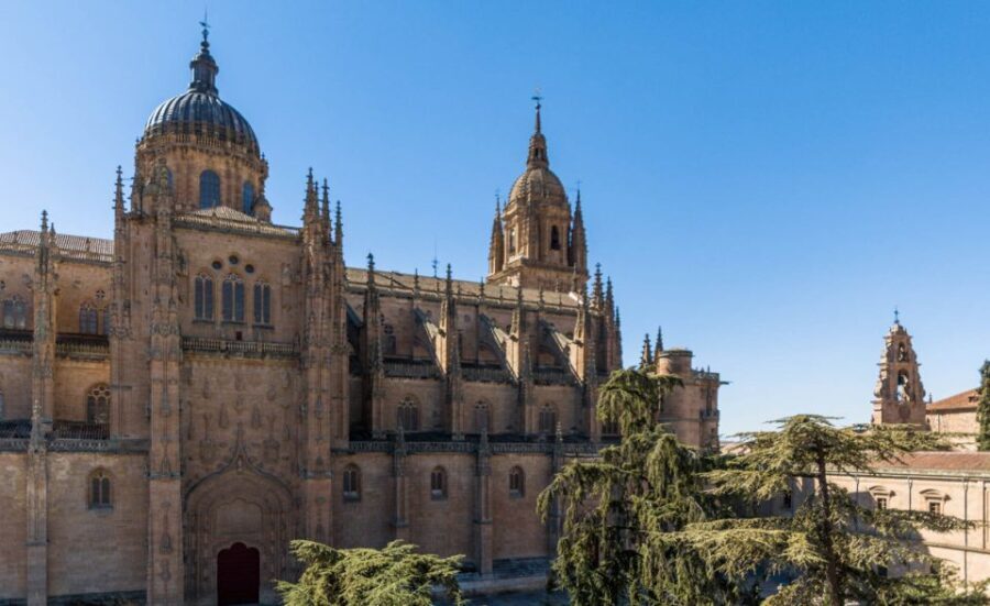 Salamanca: Cathedral of Salamanca Ticket with Audio Guide - Who Would Love This Experience?