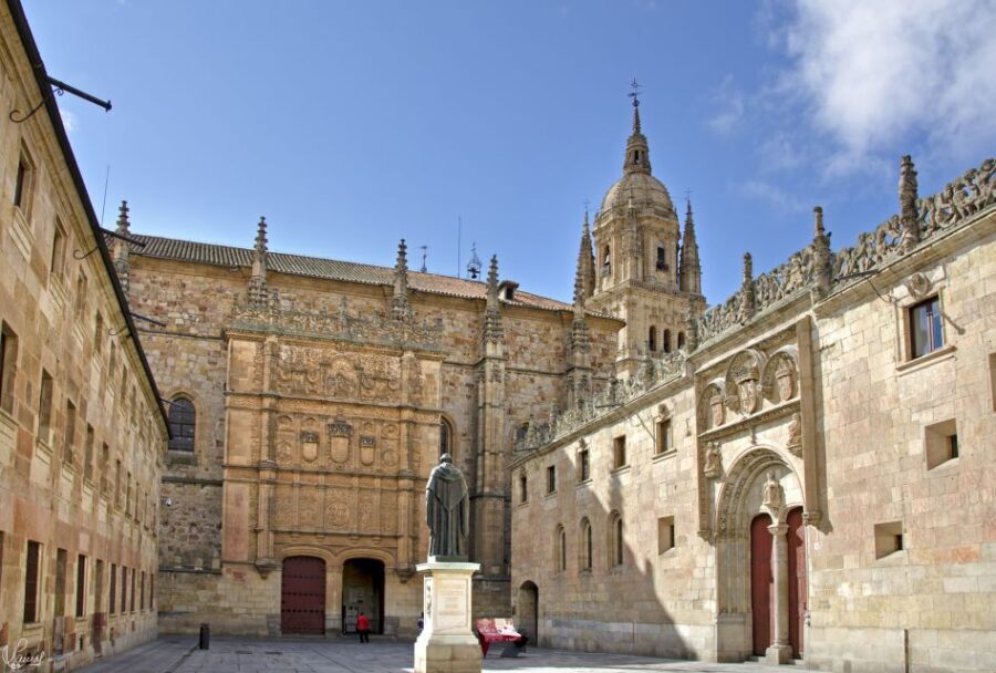 Salamanca: Miguel de Cervantes walking tour - What Sets This Tour Apart?