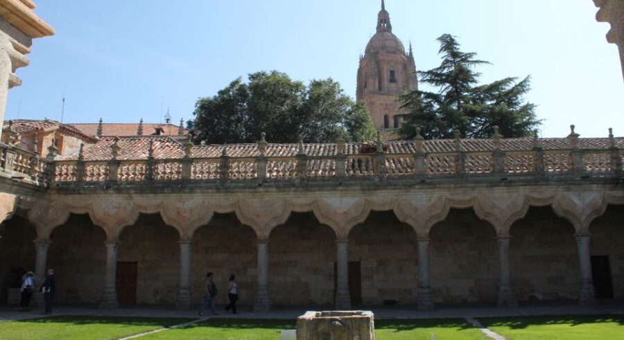 Salamanca: Monuments and Landmarks Guided Walking Tour - A Deep Dive into Salamanca’s Monuments and Landmarks Tour
