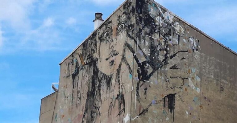 Salamanca: Private Guided Street Art Walking Tour - Exploring Salamanca’s Street Art Scene: A Practical Guide