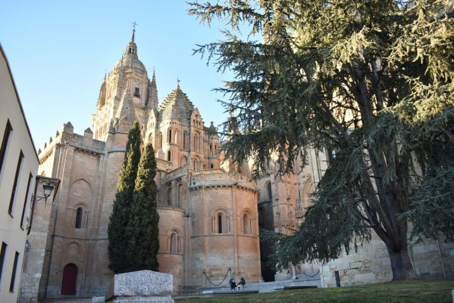 Salamanca: Private Sightseeing & Cultural Walking Tour - What’s Included and What to Expect