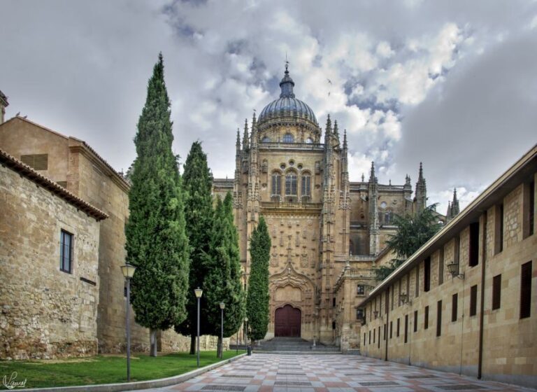 Salamanca: Private tour of the most important sites - Who This Tour Is Best For