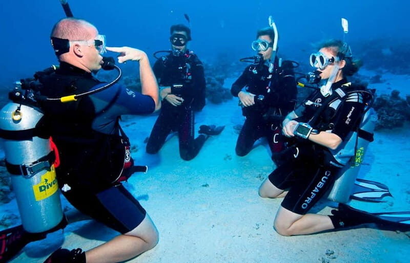 Salou: Fun Scuba Dive with Instructor (No License Needed) - The Sum Up