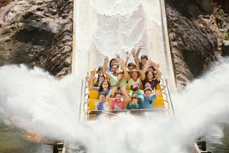 Salou: PortAventura Theme Park Entry Ticket - Who Will Appreciate This Experience?