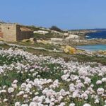 Salvora: Island Tour with Mussel Tasting - In-Depth Look at the Experience