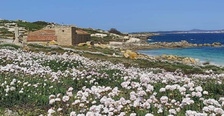 Salvora: Island Tour with Mussel Tasting - In-Depth Look at the Experience