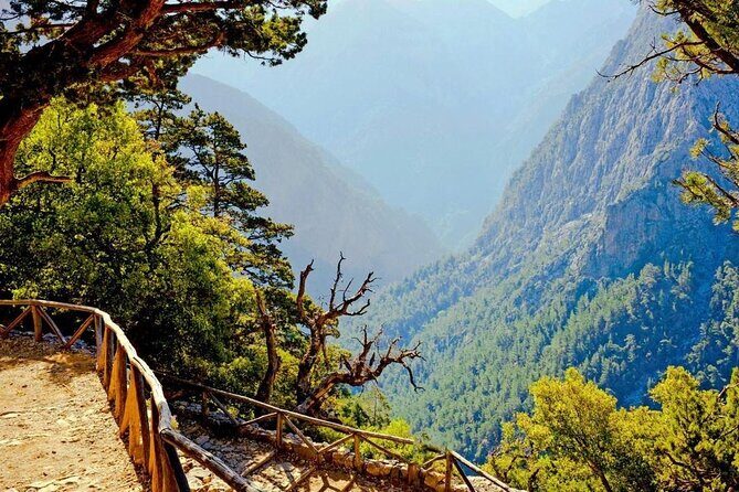 Samaria Gorge Hiking from Chania with proffesional hiking guide - Who Is This Tour Best For?