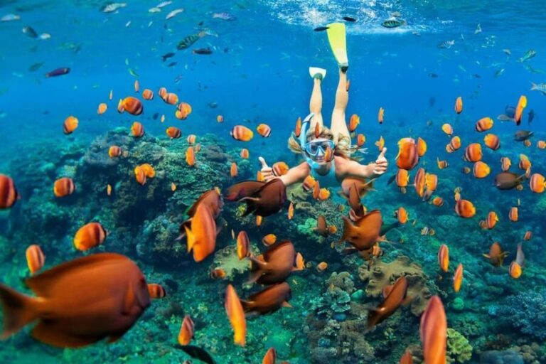 San Juan Beach, Cabo Huertas: Bike tour & snorkel with drink - A Closer Look at the Experience: What to Expect