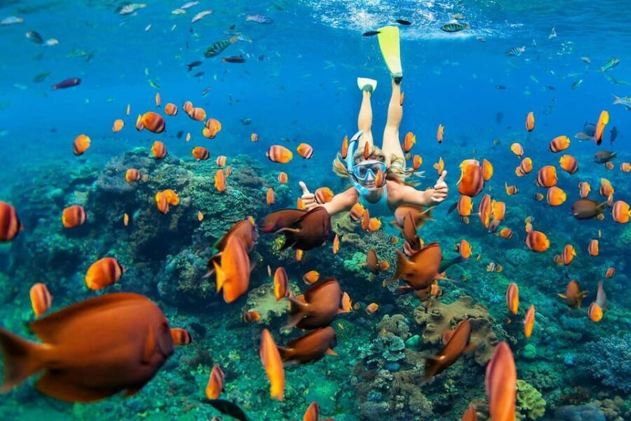 San Juan Beach, Cabo Huertas: Bike tour & snorkel with drink - A Closer Look at the Experience: What to Expect