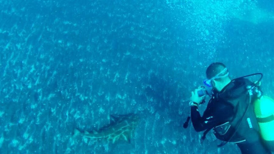 San Miguel de Abona: 2Dive Package - What to Expect: A Step-by-Step Breakdown